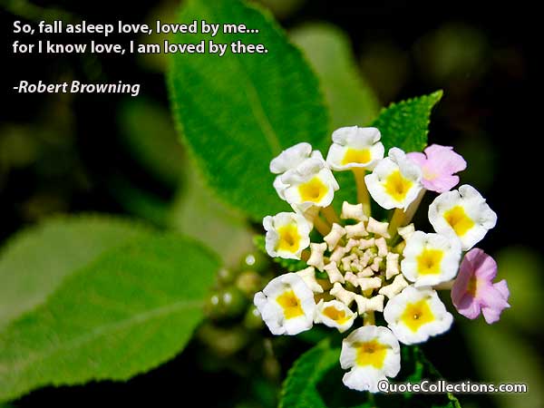 Robert Browning Quotes6